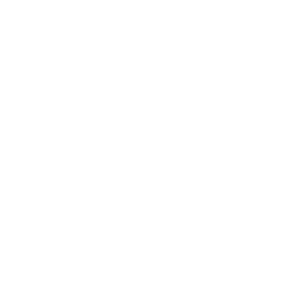Mobile Detail Squad