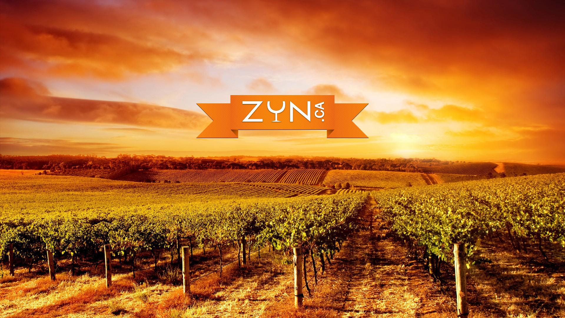 ZYN.ca
